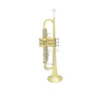 Professional Musical Trumpet Bb B Flat Brass Material Trompeta Wind Instrument With Mouthpiece Strap Case Accessories (Color : Gold Silver)
