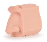 Professional Nasal Cavity Training Model Accurate Flexible Health Demonstration Device 13cm Size Anatomical Nose Model