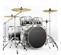 Professional Percussion Instrument Full Size Adult Drum Set 5-Piece Drum Set with Cymbal Stands, Stool, Drum Pedal, Sticks(D)