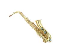 Professional Performance C Saxophone Brass Body Instrument Beginner Saxophone