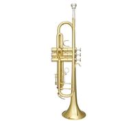 Professional Phosphor Bronze Mouthpiece White Copper Pitch Tube B Flat Trumpet Instrument Band Adult B Flat