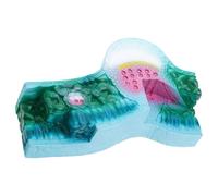 Professional Plant Anatomy Model Realistic PVC Structure Teaching Tool for Science Classrooms & Labs Lab Supplies for Biology Teachers