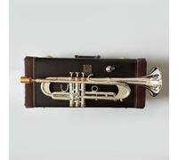 Professional Playing Instrument Trumpet In Bb, The Preferred Trumpet For Grade Examinations