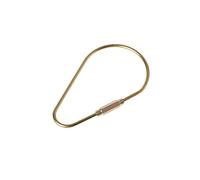 Professional Polished Golden Color Bass Key Chain Professional Oval Split Key Chain for Making Creative D Shape Brass Carabiner Keychain