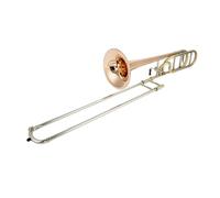 Professional Practice And Performance Instrument For The B Flat Trombone Brass trombone