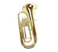Professional Practice Tool For Playing The Euphonium In B Flat Major Adult Euphonium Instrument