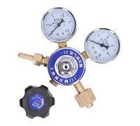 Professional Pressure Reducing Valve Oxygen 2.5mpa High Precision Brass Steel Gas Regulator for Scientific Research Laboratory Industrial Use