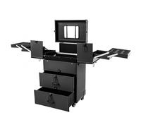 Professional Rolling Makeup Case, 2-Tier, Black, Metallic(Black,25.98inch)
