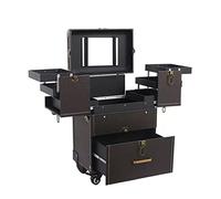 Professional Rolling Makeup Train Case, Large Capacity Travel Organizer for Makeup Artists, Hairstylists, and Nail Techs, Cosmetic Case with Mirror