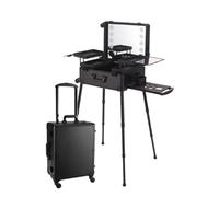 Professional Rolling Makeup Train Case with LED Lights, Portable Travel Cosmetic Organizer for Makeup Artists and Hairstylists