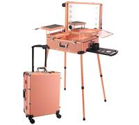 Professional Rolling Makeup Train Case with LED Lights, Portable Travel Cosmetic Organizer for Makeup Artists and Hairstylists