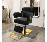 Professional Salon Chair with 360° Swivel, Stainless Steel Footrest, Lumbar Pillow, 440lbs Capacity for Salon, Spa, Home Use