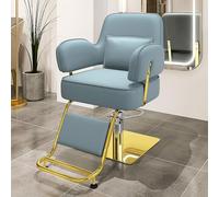 Professional Salon Chair with 360° Swivel, Stainless Steel Footrest, Lumbar Pillow, 440lbs Capacity for Salon, Spa, Home Use