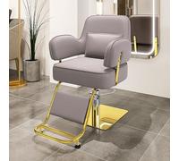 Professional Salon Chair with 360° Swivel, Stainless Steel Footrest, Lumbar Pillow, 440lbs Capacity for Salon, Spa, Home Use