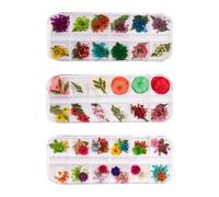 Professional Salon Press Dried Natural Flower For Nails Art Applications Crafting Home Or Studio Use Resin Dried Pressed Flower