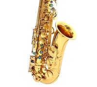 Professional Saxophone Alto Key E Flat Saxophone Gold Lacquer Brass Sax With Instrument Case Neck Strap For Beginners(D Key B)