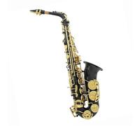 Professional saxophone Alto Saxophone Eb E Flat Brass Lacquered Gold Black Sax With Case Gloves Cloth Woodwind Musical Instrument Accessories