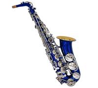 Professional Saxophone Brass Blue Body Nickel Plated Keys Gold Lacquered Inner Bell Alto Saxophone Instrument