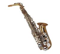 Professional Saxophone Brass Body Gold Lacquer Film Coating Body Eb Tone Alto Saxophone Musical Instrument With Mouthpiece