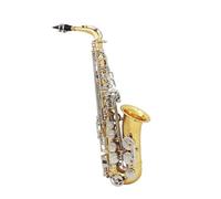 Professional Saxophone Brass Eb E-Flat Alto Saxophone Sax Glossy Engraved Shell Button Instrument With Hardshell Case