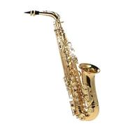 Professional Saxophone Eb Alto Saxophone Brass Lacquered Gold E Flat Sax 802 Key Type Woodwind Instrument With Brush Cloth Gloves Padded Case