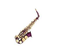 Professional Saxophone For Beginners Alto Saxophone In E Flat Purple Solid Gold Key Beginner Instrument