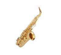 Professional Saxophone For Beginners Alto Saxophone Instrument Professional Adult Playing Practice Beginners E Flat
