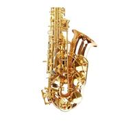 Professional Saxophone For Beginners E Flat Alto Saxophone Instrument Phosphor Bronze Solid Beginnert