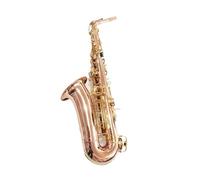 Professional Saxophone For Beginners E Flat Alto Saxophone Phosphorus Bronze Gold Key Instrument