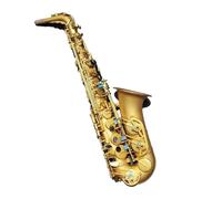 Professional Saxophone For Beginners Professional Adult Playing E Flat Alto Saxophone Instrument