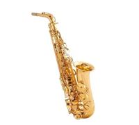 Professional Saxophone Golden Eb Alto Saxophone Sax Tube Body Gold-plated Carved Musical Instrument(Bag A)