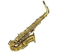 Professional Saxophone Hand Engravings Classic Structure Gold Lacquer Eb Tone Alto Saxophone With Mouthpiece