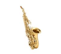 Professional Saxophone Instrument For Beginners Adult Beginners Learn To Play The Alto Saxophone In B Flat