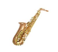 Professional Saxophone Instrument For Beginners Phosphorus Copper Solid Saxophone In E Flat Key Adult Professional Instrument