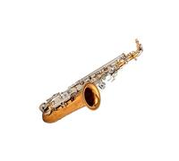 Professional Saxophone Instrument For Beginners Saxophone Instrument Alto E Flat Playing Pipe Adult Beginner Professional