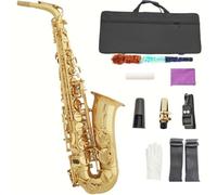 Professional Saxophones Alto Saxophone In E Flat Major Beginner Playing