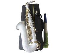 Professional Saxophones Alto Saxophone In E Major Professional Instrument(1)