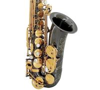 Professional Saxophones BE Alto Saxophone Beginner Introduction Level Examination Adult Performance(6)