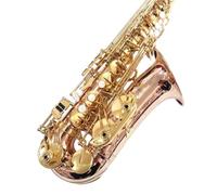 Professional Saxophones E Flat Alto Saxophone With Phosphor Bronze And Gold Keys Performance Type