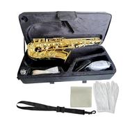 Professional Saxophones Silver Brass E Flat Alto Saxophone Woodwind Instrument(Gold)