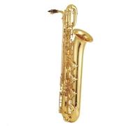Professional Saxophones Woodwind Instruments Alto Saxophone Beginners And Adults