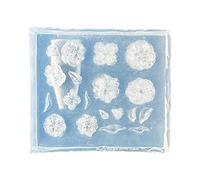 Professional Silicone Nails Decors Template Carving Decors Silicone Molds Suitable for Decorations Flower Nails Charm Mold