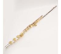 Professional Silver-Finish C Flute - 17 Open Holes, B Footjoint, Split E, Offset G, High C Gizmo Key - Advanced/Intermediate Silver Concert Flute