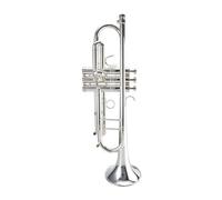 Professional Silver Trumpet BB Tone Brass Instrument