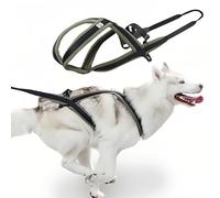 Professional Sled Dog Harness for Running, Weight Pulling & Canicross - Multi-Functional Training Gear with Wheeled Sled Adaptability (M)