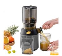Professional Slow Juicer 300W, Cold Press Juicer Machines Easy To Clean, 13cm Feeding Chute, 1.8L Portable Masticating Juicer Machine for Fruits Vegetables (Grey)