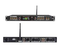 Professional Stage Audio Processor with Independent Sound Processing and Multi-Channel Microphone Support for Live Performances