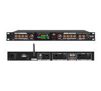 Professional Stage Performance Exciter, Front-Level Audio Processor with Independent Sound Processing & Protected Audio Quality, Multi-Channel Microphone Support for Stage KTV and Live Performa black