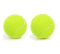 Professional Tennis Practice Balls, Durable High Elastic Tennis Balls, for Ball Games Or Dogs,Tennis Ball, Sport Play Dog Toy Ball, for Lessons, Practice, Throwing Machines (2 Pcs)