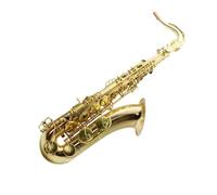 Professional Tenor Saxophone Performance